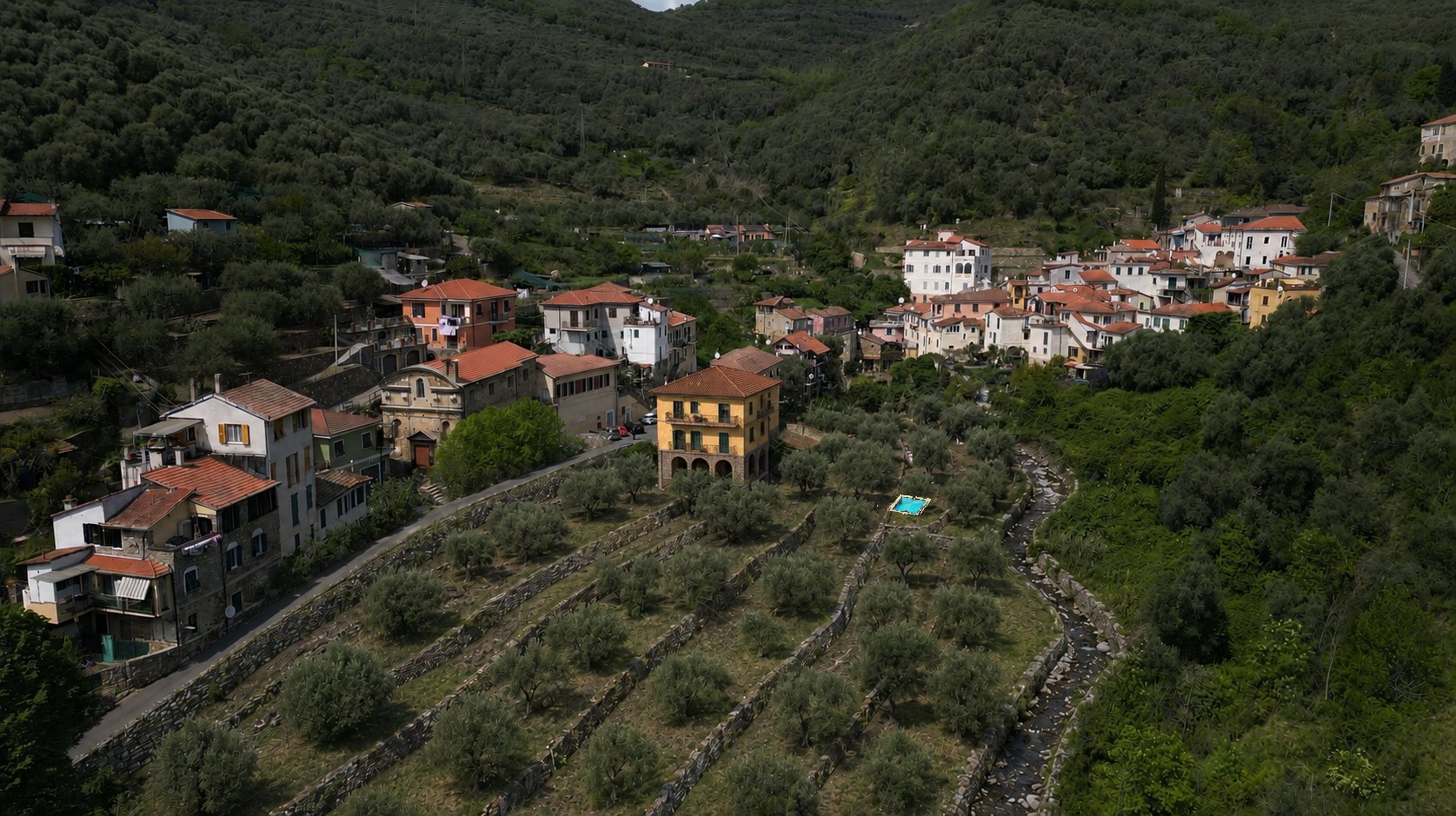 Gazzano Estate — Drone view with olive groves and pool
