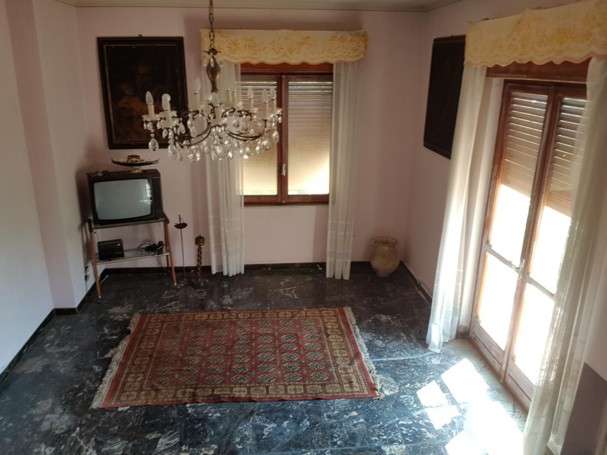 Living room with oriental rug